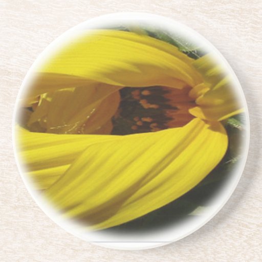 girasol del práctico de costa posavasos personalizados