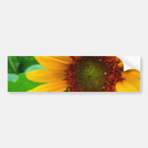 GIRASOL VIVO II ETIQUETA DE PARACHOQUE