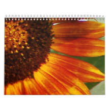 ¡Girasoles! Calendarios