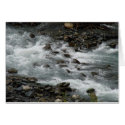 Girdwood creek - Logan Guinn cards