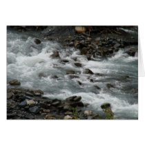 Girdwood creek - Logan Guinn cards