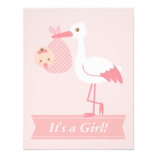 Girl Baby Shower - Stork Delivers Cute Baby Girl