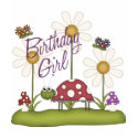 Girl Birthday Bugs t-shirts