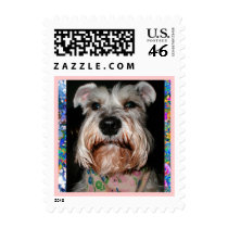 Girl Miniature Schnauzer! postage by Perlyyyy Girl Miniature Schnauzer! postage