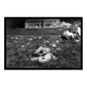 Girl Picking Cranberries Near Rochester, MA 1910 posters by lc_vintagephotos Girl Picking Cranberries Near Rochester, MA 1910 posters