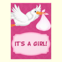 Girl Stork  Baby Shower  Invitation invitations