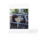 Girl Talk cards by china_sky Girl Talk cards