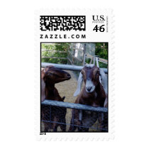 Girl Talk postage
