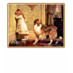 sheltie, shelties, shetland, sheepdog, sheepdogs,