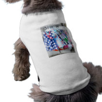 Girl's Dresses at Street Fair pet clothing