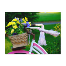 Girls Just Wanna Have Fun, Pink Girls Bicycle postcards by KahunaLuna Girls Just Wanna Have Fun, Pink Girls Bicycle postcards