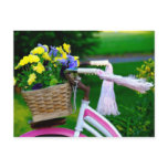 Girls Just Wanna Have Fun, Pink Girls Bicycle Postcards