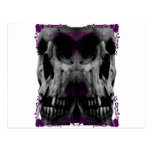 girls or guys Goth postcards