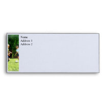 Girls Playing Soccer envelopes