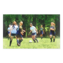 Girls Playing Soccer stickers