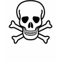 Girls Skull and Cross Bones t-shirts by chysshirts Girls Skull and Cross Bones t-shirts