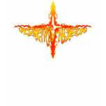 Girls TatsNY Flame Cross Tshirts