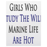 Girls Who Study The Wild Marine Life Are Hot Personalized Letterhead