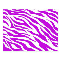 Girly Purple White Zebra Stripes Wild Animal Print Post Cards