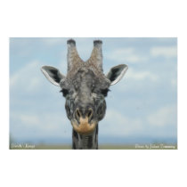 Girrafe posters by ntrimming Girrafe posters