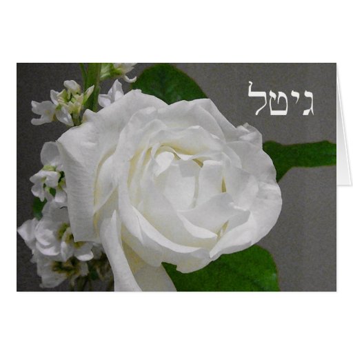 Gittel ( in Hebrew) Rose Card Zazzle