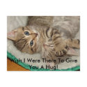 Give A Hug Kitty Postcard