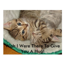 Give A Hug Kitty Postcard