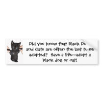 Give Black Pets a Chance! Bumper Stickers