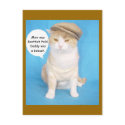 Give Bubba Kitty a Line postcards