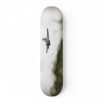 Give em hell skate decks