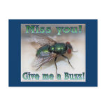 Give Me a Buzz!! Postcard