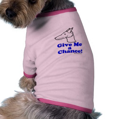 chance