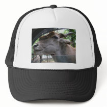 Give Me a Kiss Baby Hat