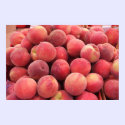 Give me a Peach posters by Adamophoto Give me a Peach posters