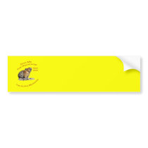 Give Me The Mountains...Pika Bumper Stickers