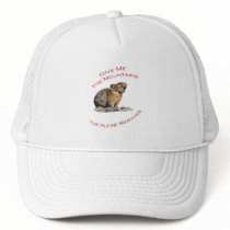 Give Me The Mountains...Pika Mesh Hat