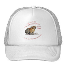 Give Me The Mountains...Pika Hat