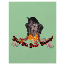Give Me Your Candy Dachshund and Candy flyers