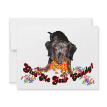Give Me Your Candy Dachshund and Candy invitations by CatnDog Give Me Your Candy Dachshund and Candy invitations