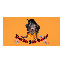 Give Me Your Candy Dachshund and Candy photo cards by CatnDog Give Me Your Candy Dachshund and Candy photo cards