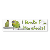 Give Parakeets A Brake Bumper Sticker