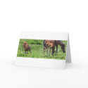 Give Thanks For Precious Gifts cards by BowNRanch Give Thanks For Precious Gifts cards