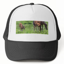 Give Thanks For Precious Gifts hats