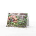 "Give Thanks" Thanksgiving Day cards