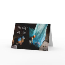 Give the Gift of Life, Give a Bed ... - Customized cards by malarianomore Give the Gift of Life, Give a Bed ... - Customized cards