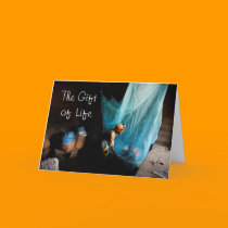 Give the Gift of Life, Give a Bed ... - Customized cards