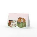Give the gift of rescue cards
