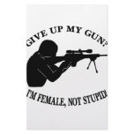 Give Up My Gun? I'm Female Not Stupid! Stationery
