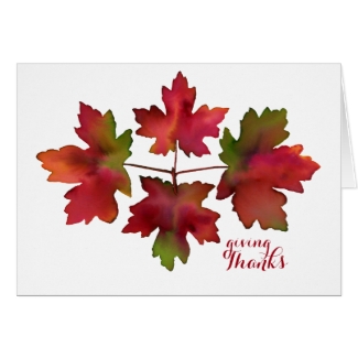 Giving Thanks Autumn Bigtooth Maple Leaves