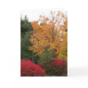 Giving Thanks Thanksgiving Cards by KathyHenis Giving Thanks Thanksgiving Cards